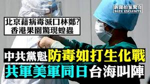 🔥四川要建5万隔离房；中共危机习近平说愁，火箭半空焚毁，埃及开口索十万亿！全球疫死超十万；纽约住院数大减，5月或见低谷；沙特王室百人感染；瘟疫非洲扩散速度惊人！刚果又现埃博拉 | 新闻拍案惊奇 大宇