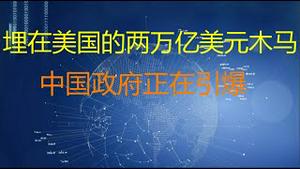 财经冷眼：两万亿美元金融巨坑，中共政府正在引爆美国的特洛伊木马！（20210810第599期）