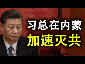 继新疆和香港之后,习近平又在内蒙和西藏加速;中共隐形的民族灭绝政策同时针对汉蒙回藏(政论天下第222集 20200831)天亮时分