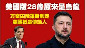 美国版28条原来是乌龙，方案由俄罗斯制定，美国祇是传话人。2025.11.22NO3162#28条