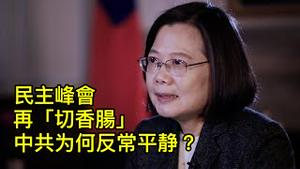 台湾参加“民主峰会”，为何中共一反常态很安静？习近平正在建立“终极极权”，目前最怕美台“直捣黄龙”！ （一平论政2021/11/27)