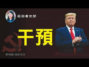 【第158期】中共如何干预美国大选？最近发生的几件事表明，它们在暗处使劲，打击川普，为民主党拜登开路。| 薇羽看世间 20201013