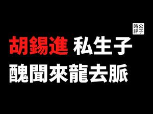 【公子快报】胡锡进被实名举报胡锡进与女下属有染，两个私生子？！辟谣仍被质疑，党媒到底有多脏？