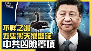 共同富裕中国梦，恐变共同贫穷？黑天鹅惊现北京，中共不祥凶兆？中南海内斗火热，恐酿内战？极左社会主义复辟，重演文革腥风血雨？（2021.9.7）｜世界的十字路口 唐浩