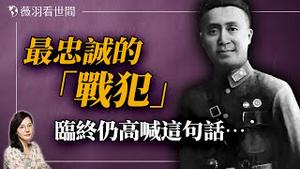 被俘26年拒不改造！抗日名将杨文瑔，至死不叛变。｜薇羽看世间 20240729