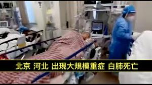 「确凿证据！白肺 🫁  北京病毒：非典-SARS3.0」ShitaoTV - 04 (22 /12/22) 肺部纤维化：SARS1.0 与 SARS2.0 原始病毒标志性症状