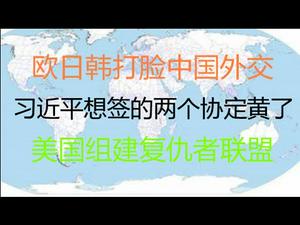 财经冷眼： 大挫败！欧日韩打脸中国经济外交 ，习近平亲自想签的两个大协定都要黄 ！美国组建复仇者联盟！（20201225第419期）