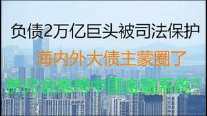 财经冷眼：接二连三挤兑，这个负债2万亿巨头被紧急司法管辖！海内外债主蒙圈了！大而不倒？中国金融系统山雨欲来！（20210809第）