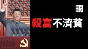 【公子精选】谁也逃不掉习近平的共同富裕！中共对民营资本“养套杀”，新时代的社会主义改造又会害惨多少中国人？