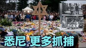 【澳洲警方神速行动！】宣称阻止了一场更大的可能？（12/18/25）#川普 #trump #特朗普  #musk  #高市早苗