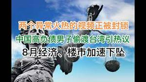 突发！两个异常火爆的视频正在被封杀！李彦宏违规吐露养老金绝密数据，麻烦了！8月经济、楼市双双加速下坠！高负债男子偷渡台湾引全球热议！(20240914第1274期）