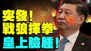 战郎八面出击撞最硬铁板！皇上习近平吃锅烙肿脸，要怒摔立陶宛？美国：你摔摔试试？习：我……捏小土豆去！（老北京茶馆/第544集/2021/08/11）