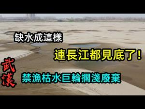 2021年长江武汉段140公里断流见底，对农业有影响吗|长江变成大沙滩，汽车可以自由行使|#环境#三峡大坝#枯水期#武汉长江