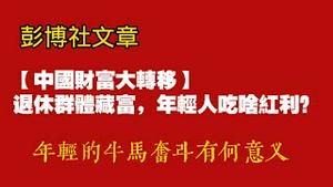彭博社文章【中国财富大转移】退休群体藏富，年轻人吃啥红利？年轻的牛马奋斗有何意义。2025.11.04NO3124