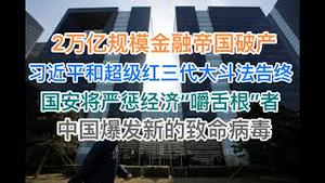 突发！两万亿金融帝国破产，超级红色家族被习家收割干净！国安将严惩对经济“嚼舌根”者！中国爆发新的致命病毒，恐慌蔓延！(20240803第1245期)