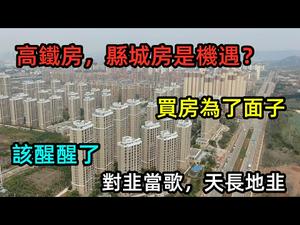 农民为了面子在县城买房是“机遇”？|县城的高铁房已经成了“韭菜盘”|#房价#炒房#房托#房子现象#大陆房价#房地产#没有CC subtitles added中英双字