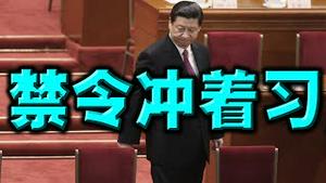 奇了！中纪委颁十大禁令，条条针对习近平？二十大防海外民运。党媒暗示马云真实处境