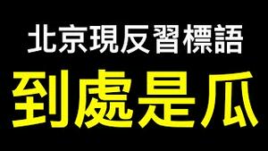 北京惊现反习标语喜迎二十大！广东公开拒绝赋码,库尔勒到处都是瓜！