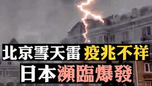 🇺🇸美军人爆料：300万人感染，25万死；各自为政，北京宣布战时状态，抗中央者下台！公主号大量感染，日本濒爆发；武汉肺炎病毒同时攻击多器官，瑞德西韦效用小；当街倒毙原因解开|新闻拍案惊奇 大宇