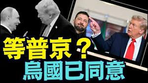 【突发！全球震惊 川普几近得手】乌克兰同意川普和平计划 细节微调 等普京最终点头？（11/24/25）#川普 #trump #特朗普 #高市早苗 #川普设局 #台湾有事