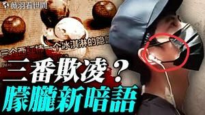 朦胧遭遇了什么？脸上戴假皮面具；大红人的艺术背后；感冒看医生，23岁女子被活摘左肺，逃亡德国控诉魔鬼罪恶。｜薇羽看世间 20251015