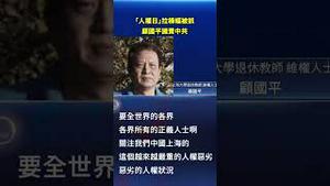 「人权日」拉横幅竟被抓！顾国平公开谴责中共，人权打压再掀关注！#环球直击