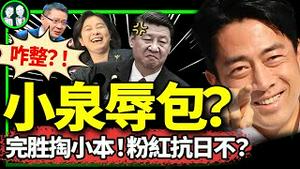 小泉辱包？惊艳表现看呆中国网友！华春莹、赵立坚又火了！这次翻车好痛快；张维为代言年轻人，外卖小哥现身痛斥！（老北京茶馆/第1245集/2024/09/17）