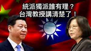 统派独派谁有理？台湾学者超越立场只讲学理，把这个问题说透了！ （2021/11/22)
