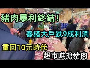 猪肉价格暴跌，重回十元时代|猪肉暴利终结养殖大户炸雷，小户亏本离场|超市抢购猪肉|新手养猪一点经验都没有，15天时间亏了一万|#猪肉降价#哄抢物资#养殖户