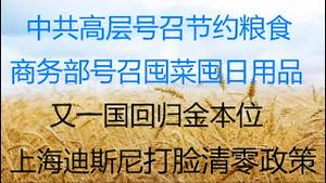 财经冷眼：高层号召节约粮食，商务部号召囤菜囤日用品，释放什么信号？ 法币泛滥，恶性通胀，又一国回归金本位！推荐一个明年或翻倍的资产！上海迪斯尼打脸“清零”政策！（20211102第662期）