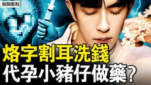 数百亿外流澳洲；于朦胧曾被残酷对待。辛奇早就要捕于？「红毛」公然极端言论，电诈园深度曝光非法代孕产物竟被当作交易工具【新闻看点 李沐阳11.17】