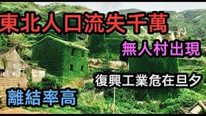 东北人口减少千万，惊现无人村房子一万多就有交易|黑龙江这个地方只剩下危房，东北三省离结率超高|比鹤岗房价还要低|#人口问题#人口结构#东北现状#社会问题#恶性