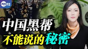 【有彩蛋】💥中国黑帮掌控着北美海洛因市场! 中共权贵如何转移巨额资产, 催生无数犯罪活动, 而加拿大是一切行动的中心！真观点 | 真飞【第134期】【20210623】