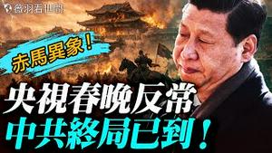 年味哪去了？「赤马」来临，中国重现60年前天象；郑丽文遭驱邪？央视春晚怪现象；河南春晚造反了？找回真正的中华传统文化。｜薇羽看世间 20260217