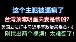 这个主犯终于被逼疯了！台湾顶流明星夫妻是帮凶？美国立法打中习近平等政治局委员7寸！刚挖出两个视频！太难受了！
