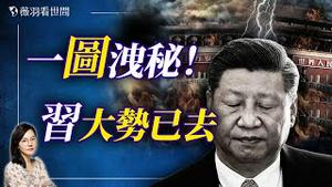 党报怒批习？太子党鼓动习近平攻台，伺机发动军事夺权？网路疯传联署签名倒习！｜薇羽看世间 20241217