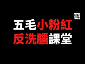 【公子时评】公子沈狂怼黑粉留言，中国人吃饱饭要感谢共产党？沈阳比台北发达多了？还敢跟美国硬刚了！五毛小粉红连篇谬论打脸自己，惨不忍睹！