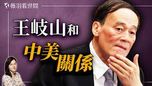 川普重返白宫，王岐山再出江湖？他能解开中美死结？｜薇羽看世间 20241118