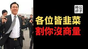 【公子时评】恒大宝能债务危机，全体中国人来买单！政商勾结吹大金融泡沫，社会主义改造戳破繁荣假象！资本无序扩张的背后是权力不受制约？中国经济没救了，左右都是不归路...