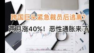 最新！跨国巨头紧急大裁员，将撤离中国？两月涨40%以上，恶性通胀露出獠牙！房屋养老金遇强阻力夭折？(20240826第1263期)