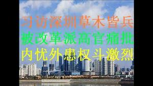 财经冷眼：习近平南巡意欲何为？改革派高官公开痛批习近平，内忧外患下党内权斗激烈！（20201013第356期）