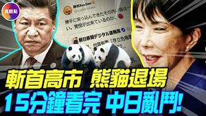 日本将再无熊猫，中日风波升级！美国：无条件支持日本；台日缔结寿司外交！15分钟看懂年度中日争端：威胁高市、海警对峙、禁日海产…#真飞 #真观点
