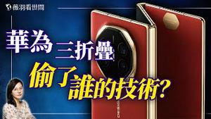 揭秘华为三折手机独家供应商：「京东方」的中共军方背景与盗窃三星技术的秘密。｜薇羽看世间 20240928