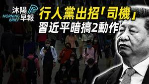 沐阳早报：行人党出招，「司机」受挑战；习近平暗搞2动作，台湾须格外谨慎（2024-0221）