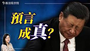 帕克半年前预言成真？习近平真的中风了？也许他正躲在暗处偷著乐。｜薇羽看世间 20240823