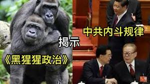 《黑猩猩政治》揭示中共内斗心态与规律；为什么江泽民多次放过习近平？（一平论政2022/1/26)