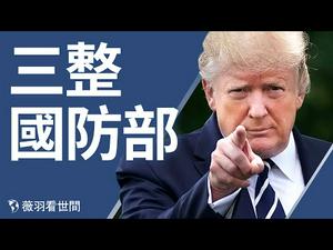 【第205期】川普两个身份明暗两条线捍卫美国宪法；三换国防部官员，川普将有大行动？乔治亚州的民主党参议员参加宾州计票露马脚|薇羽看世间 20201207