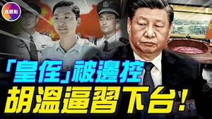 「皇侄」齐明正被内控！反习派攻破习家最后防线！疫苗是习家秘密金源，习被逼辞职！#真观点 #真飞