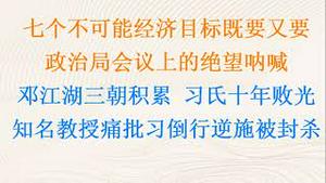 既要又要还要，7个不可能经济目标可能实现吗？习近平在政治局会议上绝望呐喊！邓江湖三朝积累，习氏十年败光，知名教授痛批习倒行逆施被封杀！(20230724第1079期)