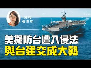 【第87期】美国拟推动《防止入侵台湾法》，中共如果犯台，美将武力打击。台湾未来将担大任，与台湾建交将成为趋势。| 薇羽看世间 20200721